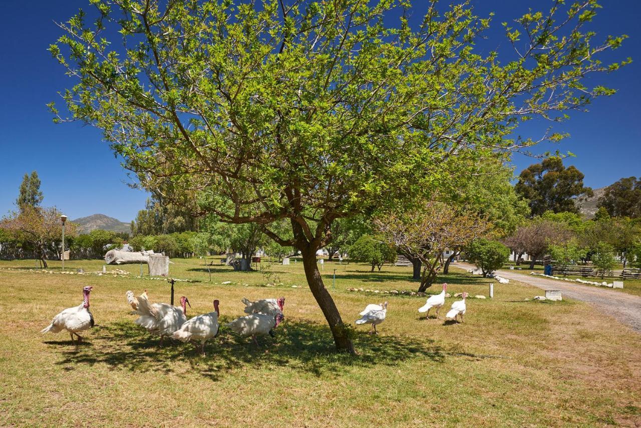 Citrus Creek Chalets Citrusdal Bagian luar foto